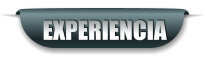 EXPERIENCIA